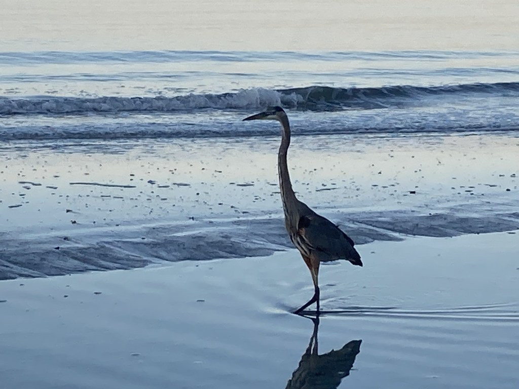 Moving Ahead-Looking Back