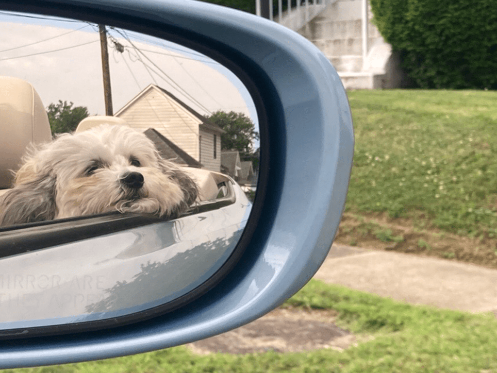 Blast From the&nbsp;Past